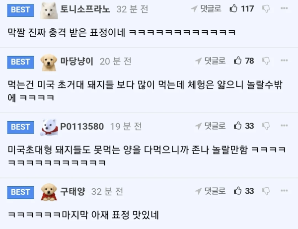 쯔양이 뉴욕 3대 스테이크집 가면 생기는 일