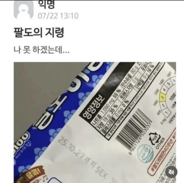 팔도의 지령