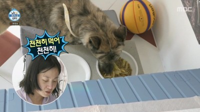 할아버지가 키우던 진돗개 입양한 박나래 근황