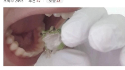 반려동물과 주인은 신뢰가 있어야 하는 이유