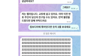 로맨스스캠 근황