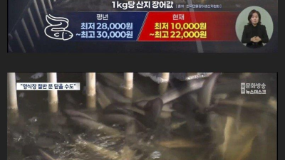 난리났다는 장어값 근황