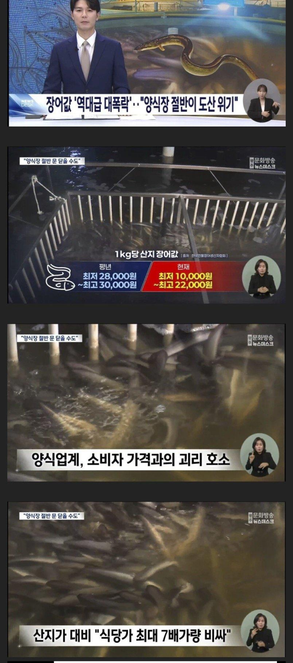 난리났다는 장어값 근황