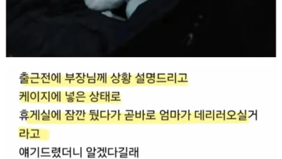 회사에 강아지 데리고 출근한 썰