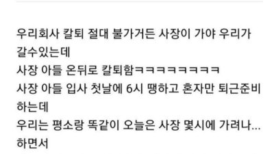 사장아들이 낙하산으로 들어왔는데 생긴 일