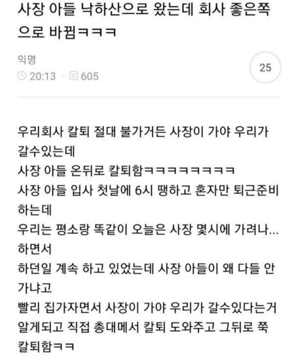 사장아들이 낙하산으로 들어왔는데 생긴 일