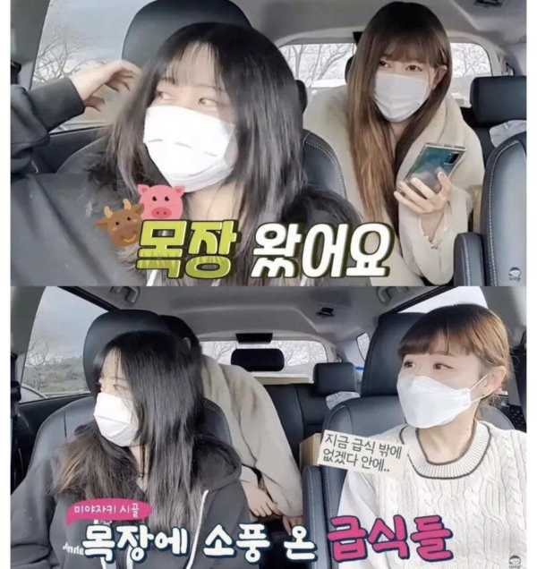 일본에서 한국인인척 하는 일본인