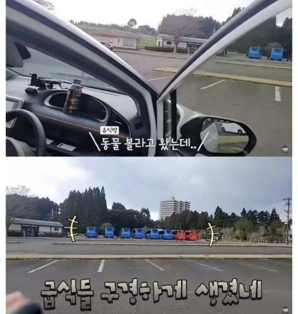 일본에서 한국인인척 하는 일본인