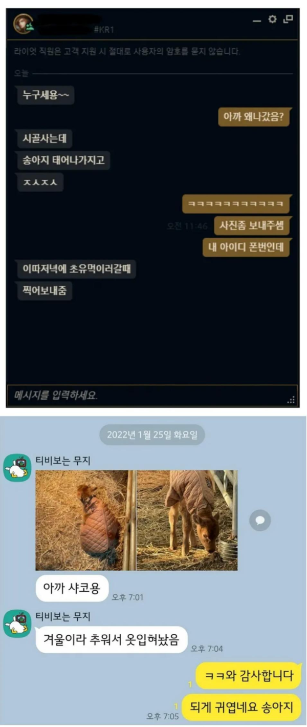 롤하다 도망간 이유