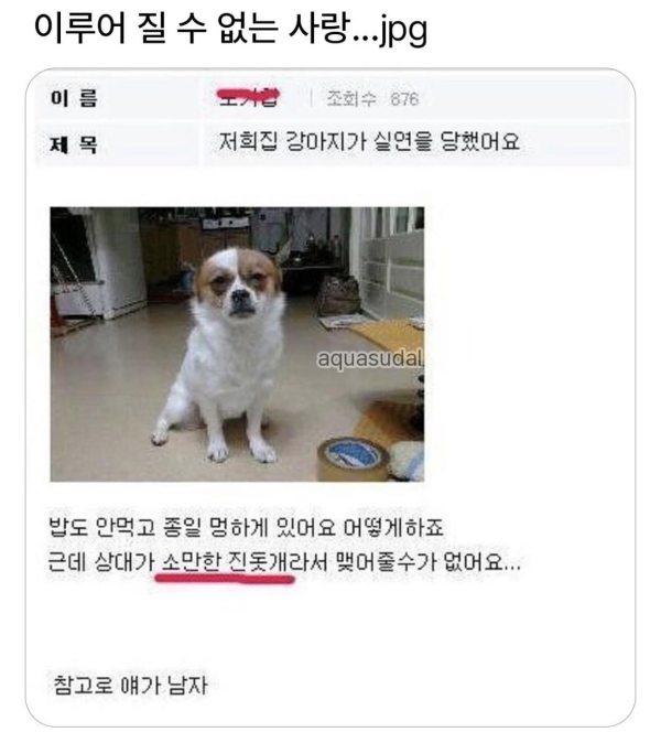 이루어 질 수 없는 사랑