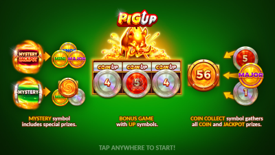 부운고 피그 업[슬롯까불이]