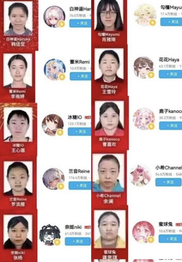 충격적인 중국 버튜버 실물