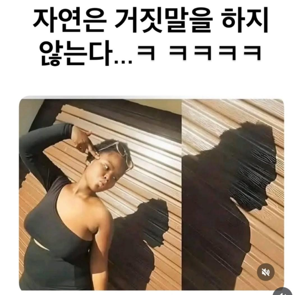 자연은 거짓말을 하지 않는 이유