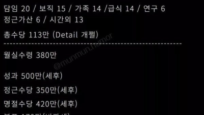 내년 35살 여교사의 월급공개