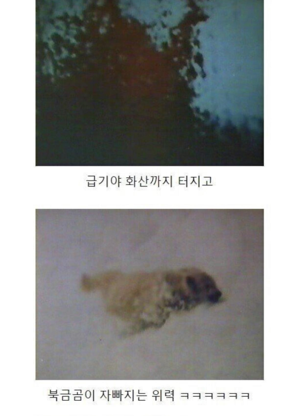 80년대 영화 스토리