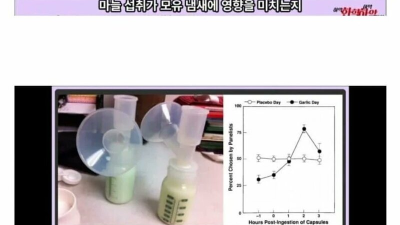 마늘이 모유에 미치는 영향