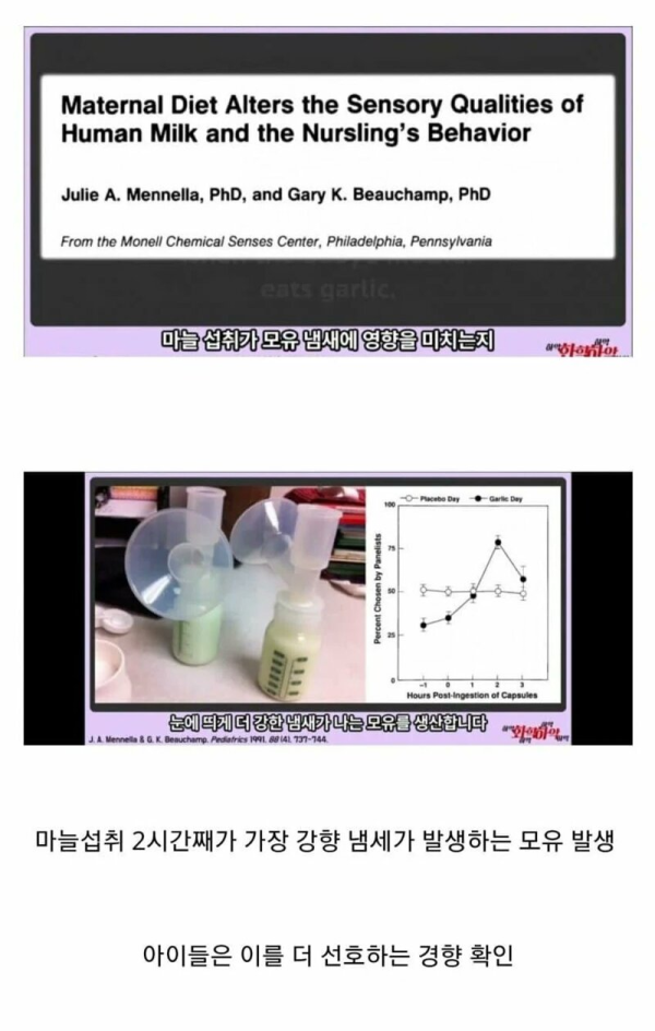 마늘이 모유에 미치는 영향