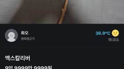 당근마켓에 올라온 전설의 명검