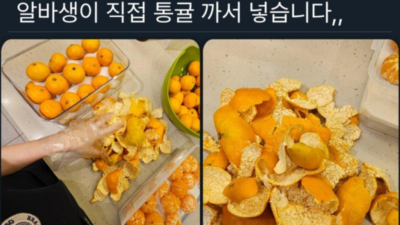 이디야 감귤주스의 진실