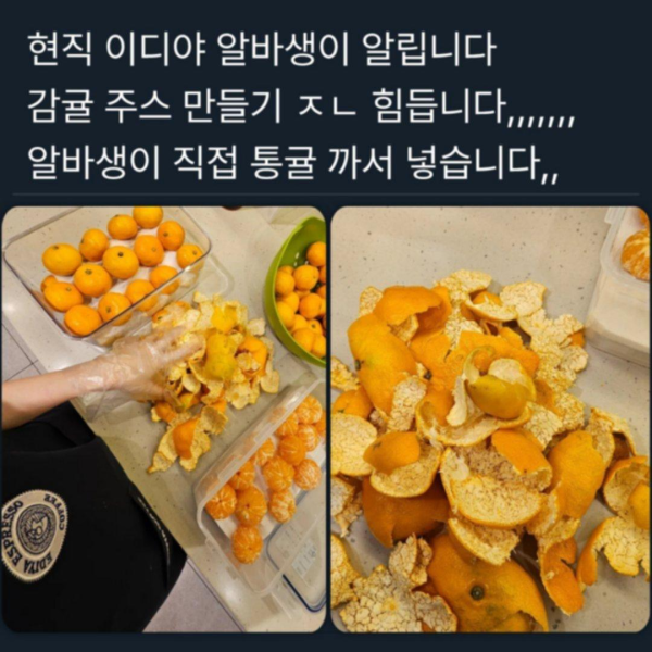 이디야 감귤주스의 진실