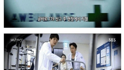 7년간 키우던 강아지가..