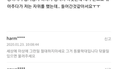 정확히 답변 해주세요..