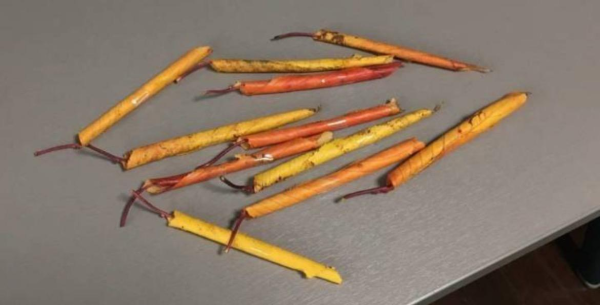 아빠의 빼빼로데이 선물