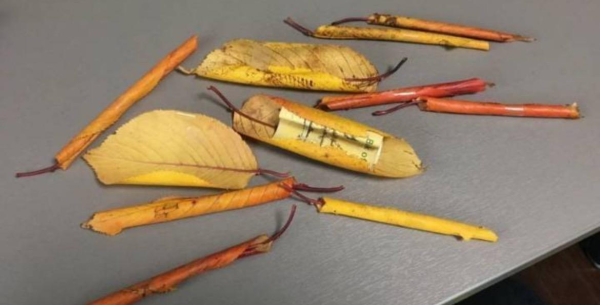 아빠의 빼빼로데이 선물