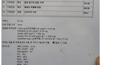 합의금으로 집이랑 벤츠 구매한 사람