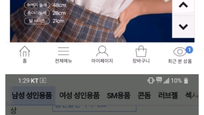 주짓수 연습하려고 ㄹㅇ돌 사려는 디시인