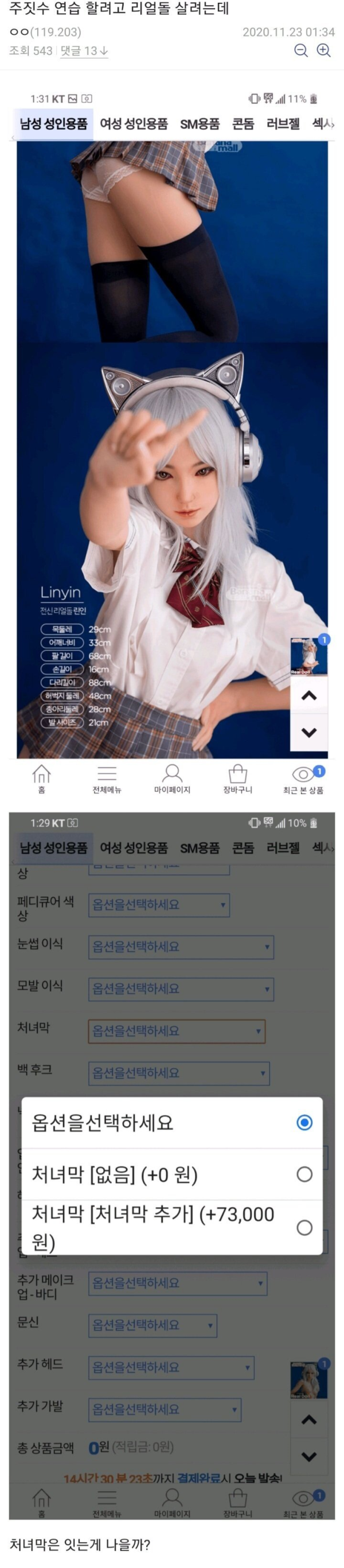 주짓수 연습하려고 ㄹㅇ돌 사려는 디시인