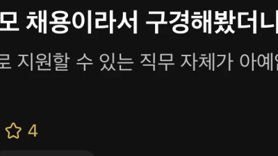 문과가 대규모 채용에서 할 수 있는 일