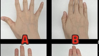 정확한 심리 테스트