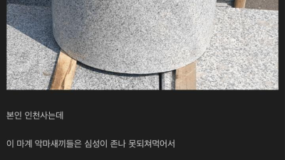 눈사람 부수는 사람 대처법