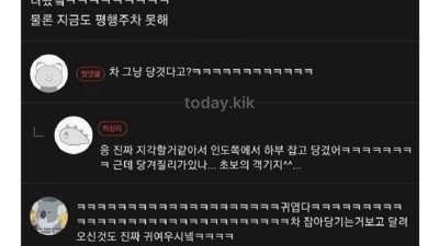 초보운전자의 평행주차 썰