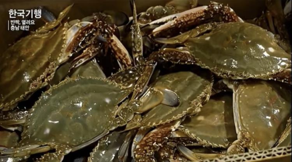 꽃게사면 톱밥이 같이 오는 이유