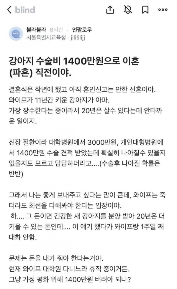 강아지 수술비 때문에 파혼 한다는 직장인