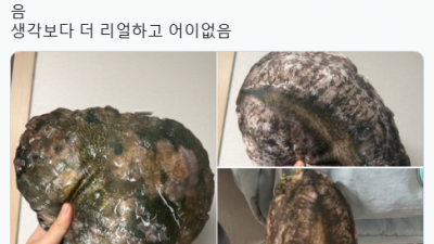 완도에 기부하면 주는 굿즈