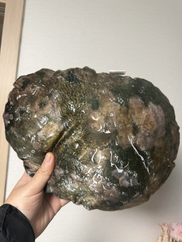 완도에 기부하면 주는 굿즈