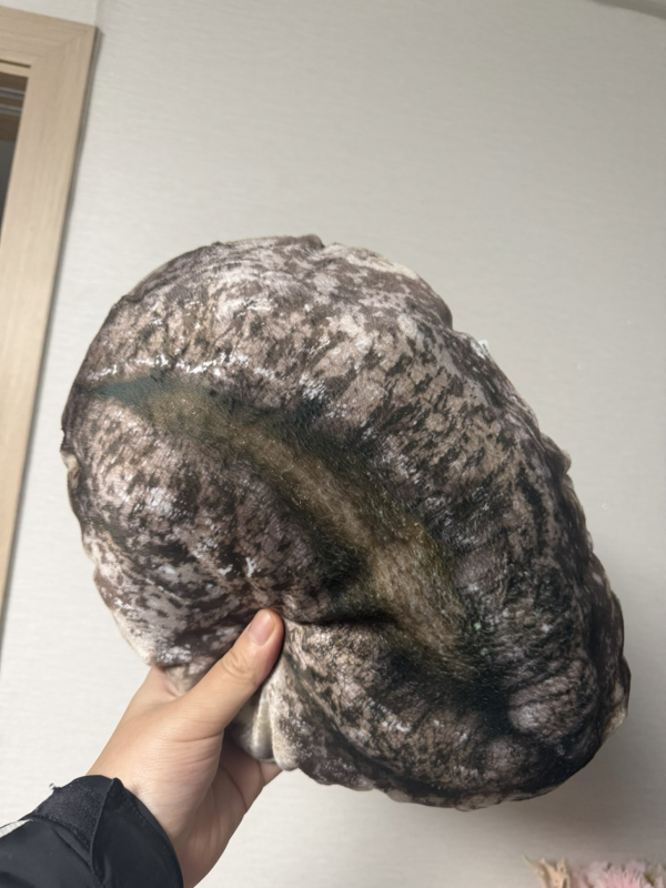 완도에 기부하면 주는 굿즈