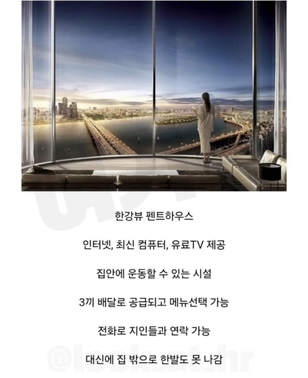 1년 버티면 5억이라는 밸런스 게임