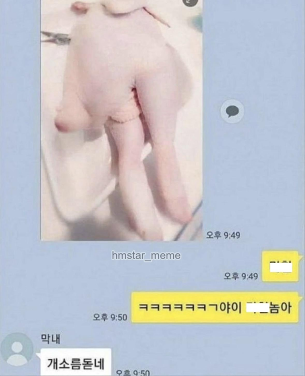 인스타 여자들이 다 예쁜이유