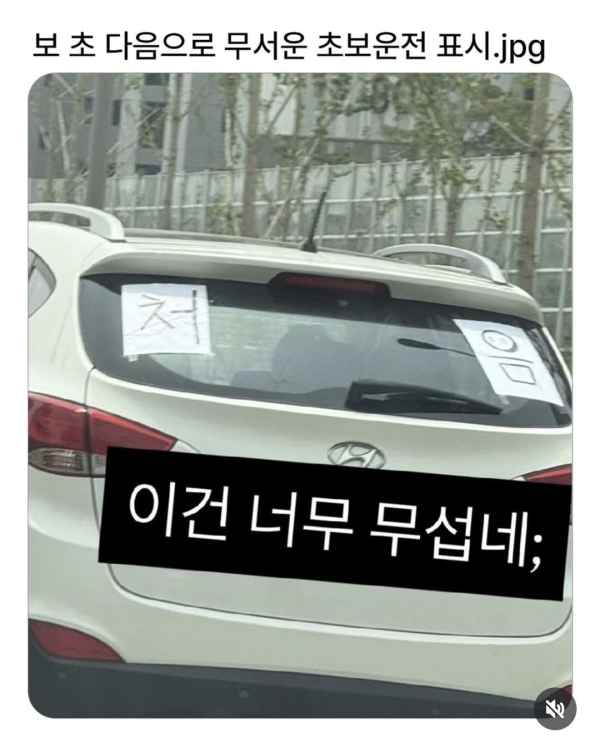 무서운 초보운전 표지