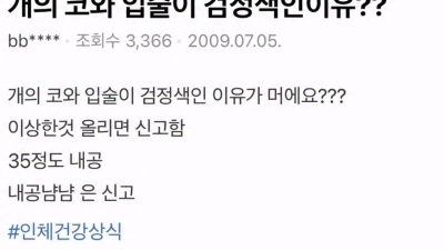 강아지의 코와 입술이 검정색인 이유