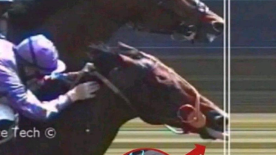 영화가 구라가 아닌 이유