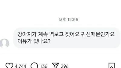 개박사 강형욱의 소름돋는 인스타 글