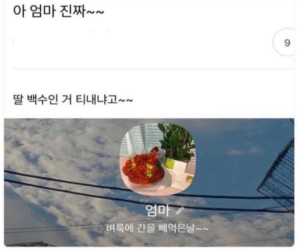 백수 딸을 둔 엄마의 생일날